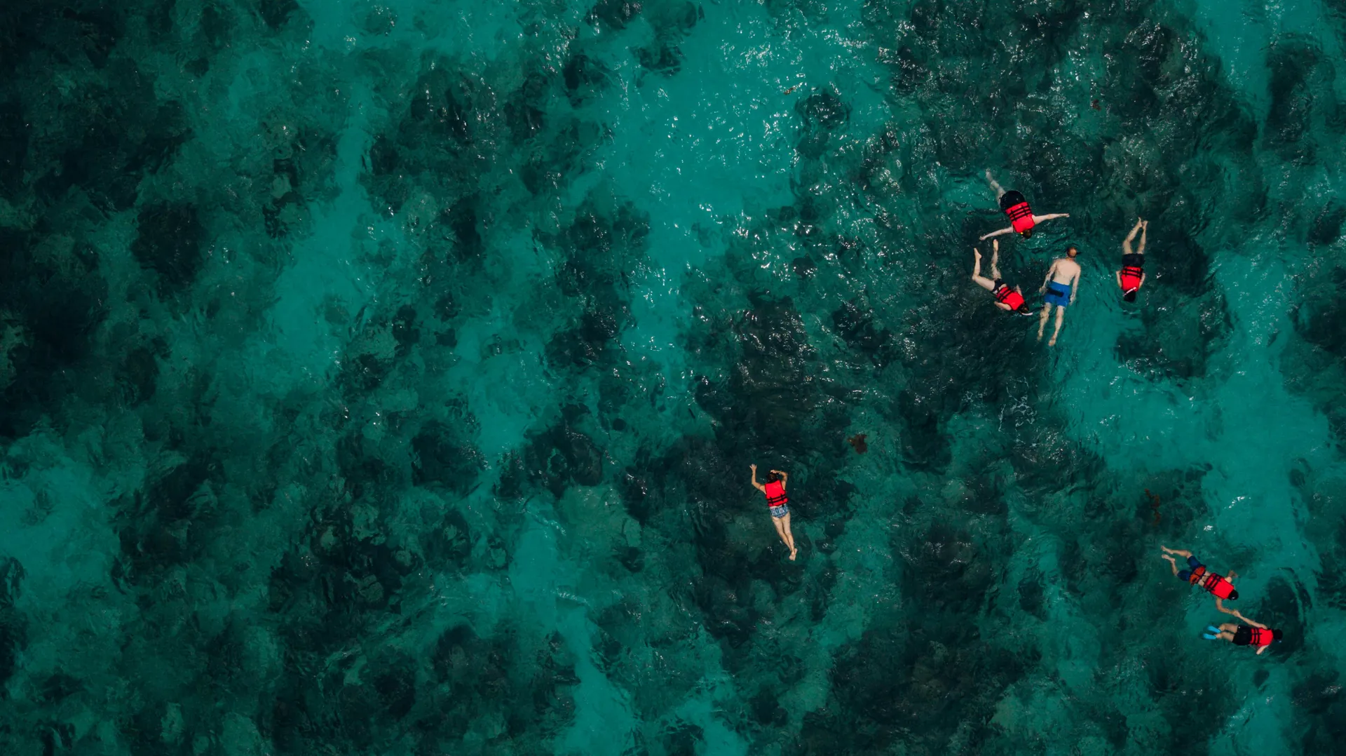 Aerial shot of snorkelers exploring vibrant coral reefs in crystal clear waters.
